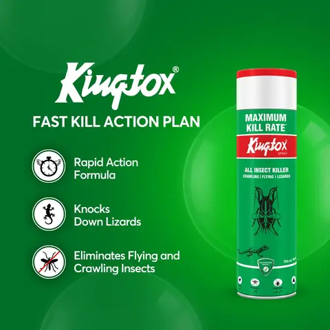 Kingtox Spray Insect Killer 300 ml