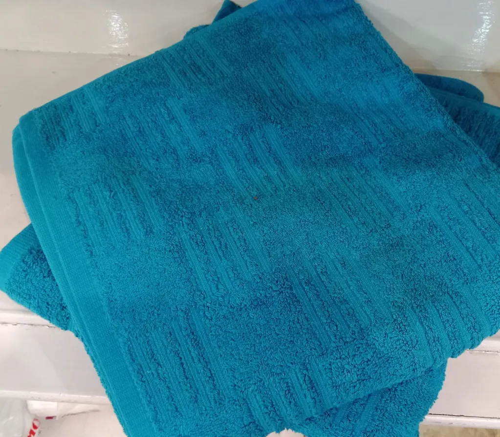 Cotton towel Embdry 27*54