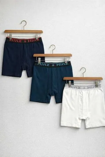 Hinz Mens Boxer  colourfull (S)